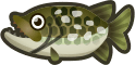 Pike