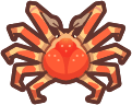 Spider Crab