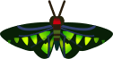 animal-crossing-new-horizons-guide-bug-critterpedia-icon-rajah-brookes-birdwing-crop