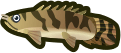 animal-crossing-new-horizons-guide-fish-critterpedia-icon-saddled-bichir-crop