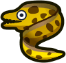 Moray Eel