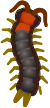 centipeded