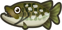 pike