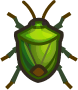 stinkbug