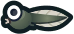 tadpole